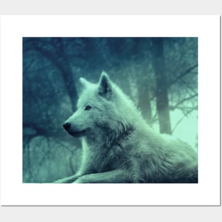 wolf pillow case Posters and Art